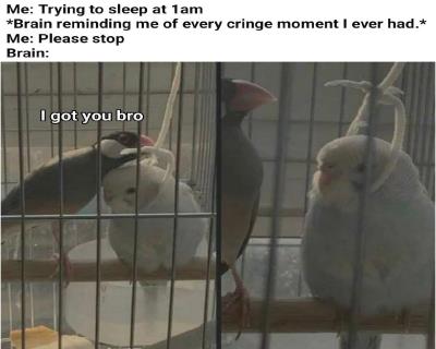Random Memes and Jokes (554) Thumbnail